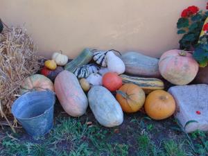 Najlepše urejena domačija na temo jesen in buče 12